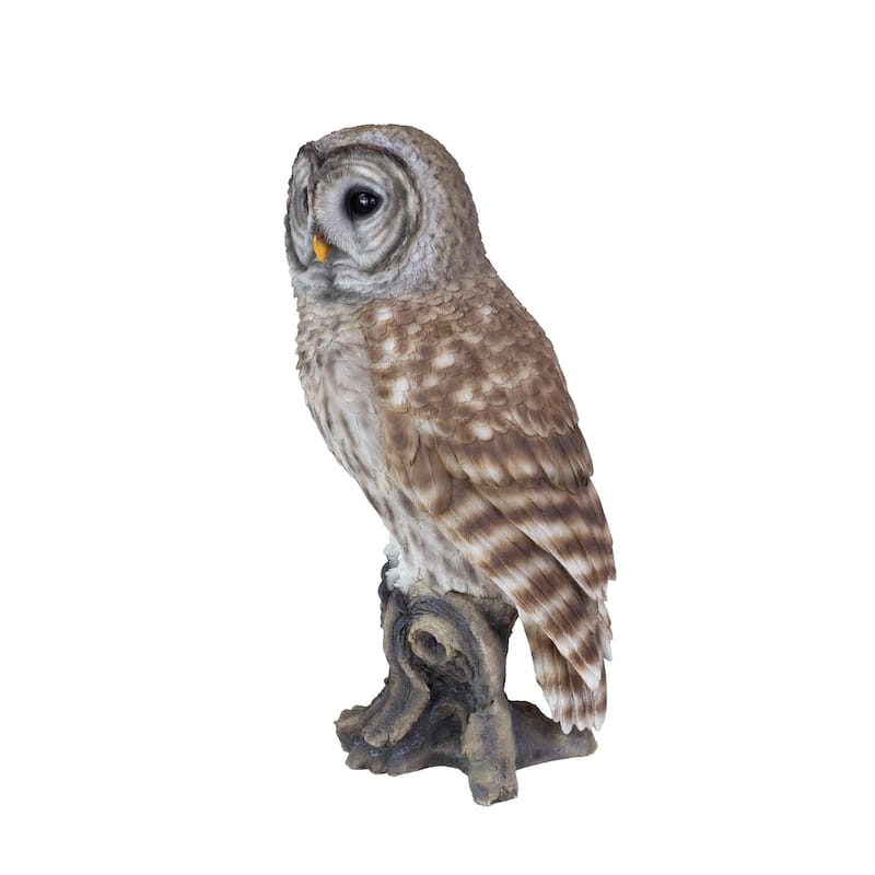 Barred Owl Standing on Branch Outdoor Garden Statue - 13.75"