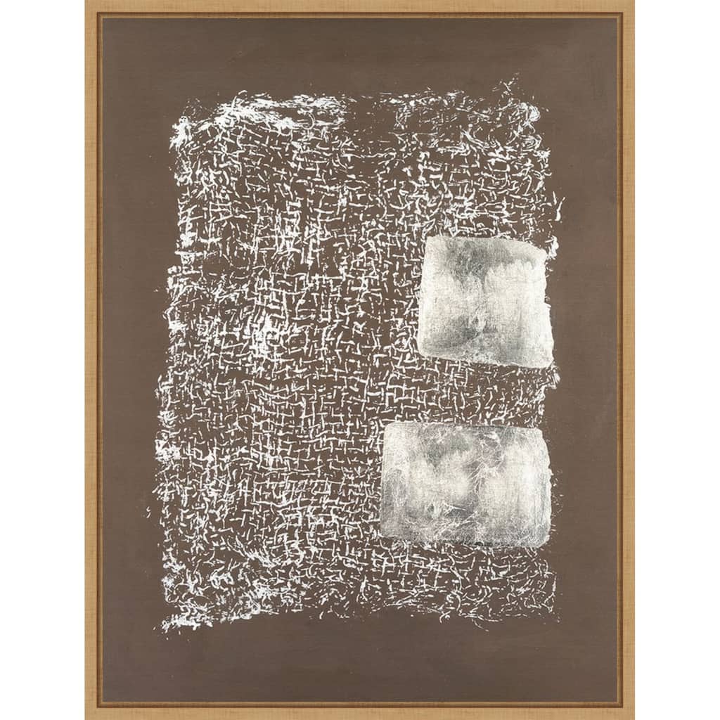 Reticulum No. 1 by Michael Willett Framed Canvas Wall Art Print