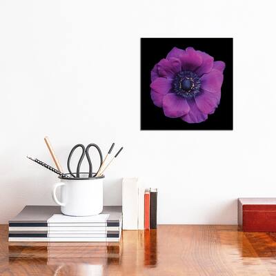 iCanvas "Vivace" by Magda Indigo Canvas Print