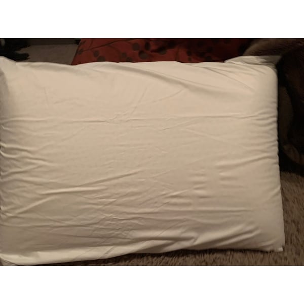 Natural latex pillow bed clearance bath and beyond