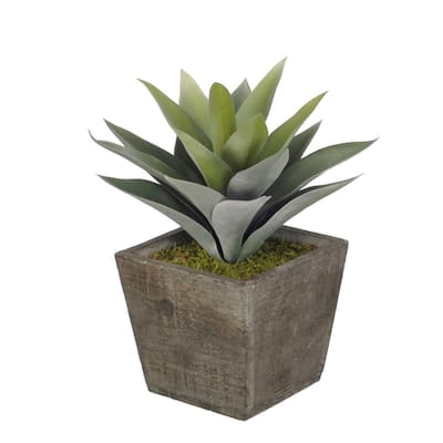 Faux Frosted Succulent in Grey Wood Cube