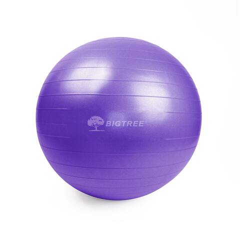 Yoga Ball Core Stability Purple