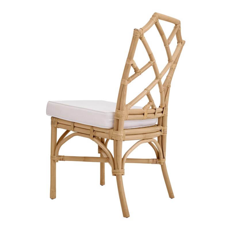 NPD Furniture Kara Rattan Dining Side Chair (Set of 2)
