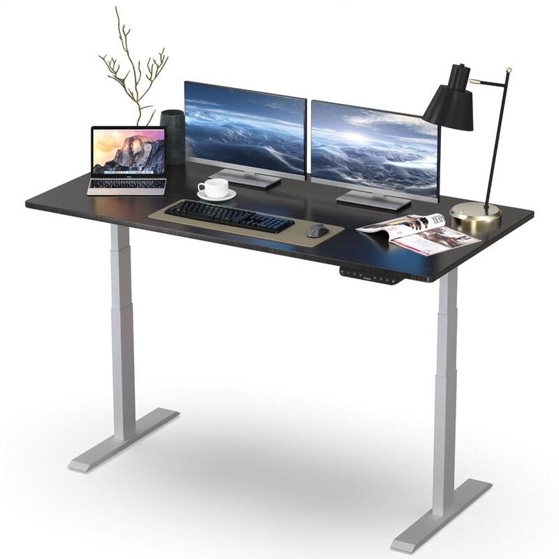Rise Up Dual Motor Electric Standing Desk 48x30 1-pc Black Desktop