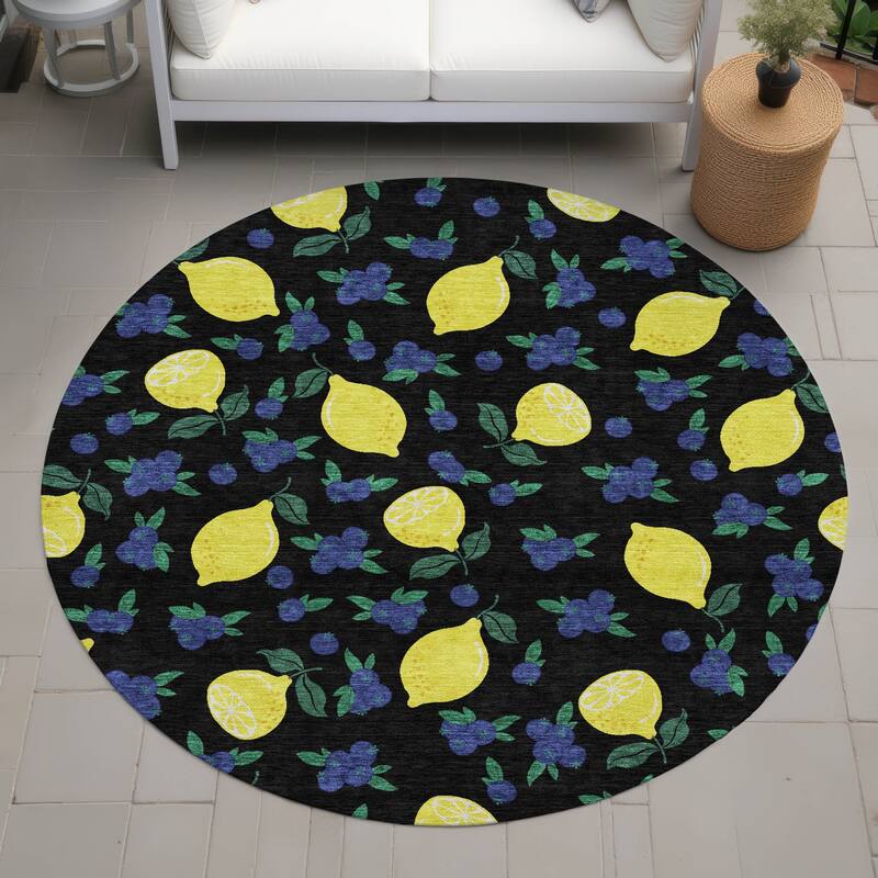 Machine Washable Indoor/ Outdoor Citrus Berry Chantille Rug - Black - 8' x 8'