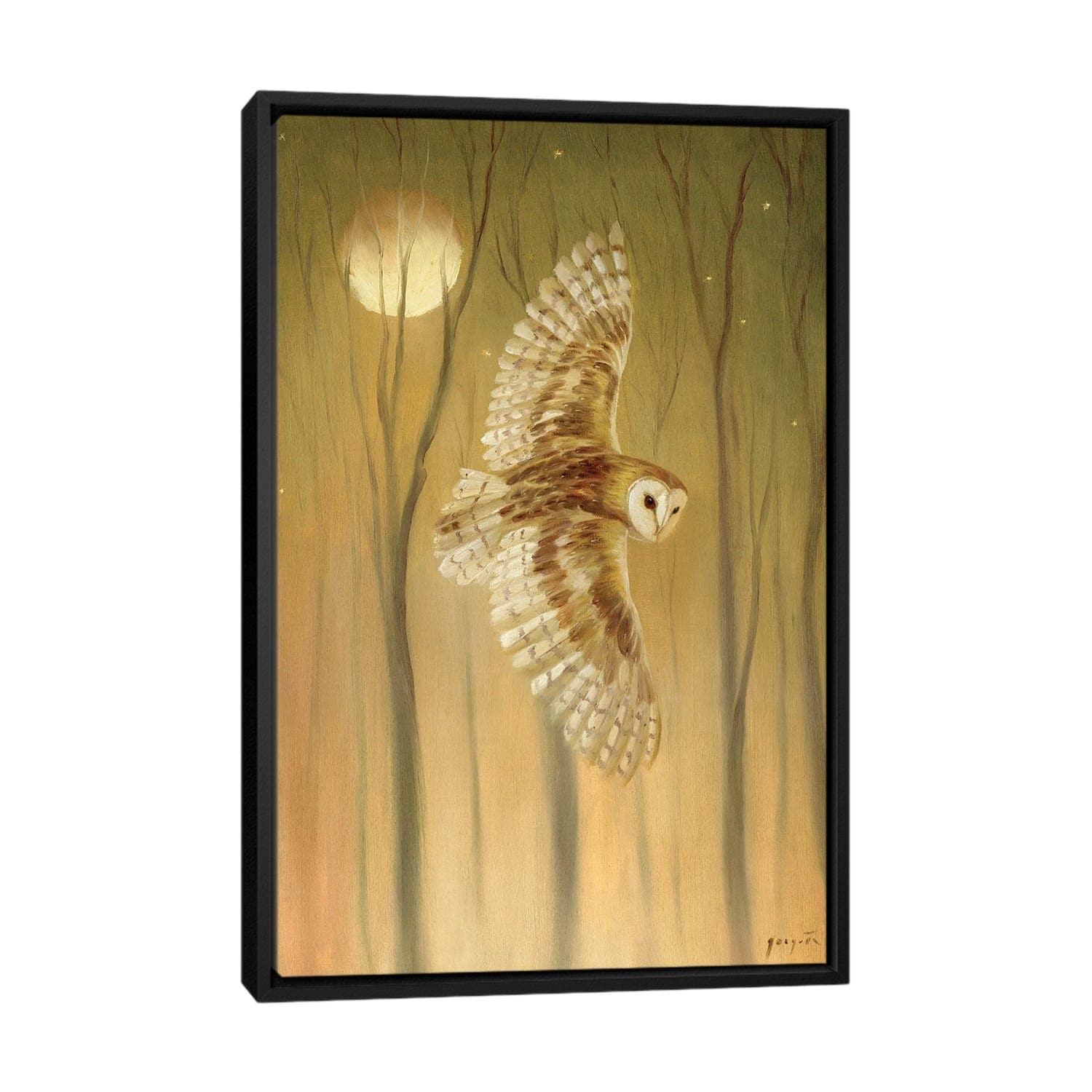 iCanvas "Night Owl" by David Joaquin Framed Canvas Print
