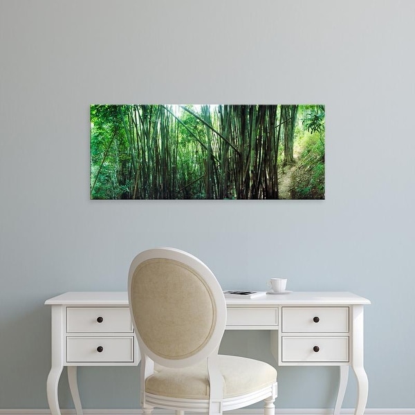 Easy Art Prints Panoramic Images's 'Bamboo forest, Chiang Mai, Thailand' Premium Canvas Art