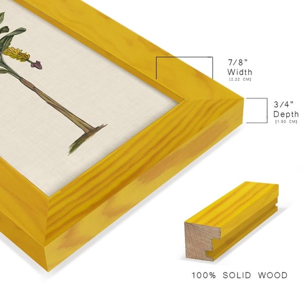 dimension image slide 2 of 11, UA CH British Palms III -Framed Print w/glass-Cherry Red