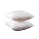 preview thumbnail 1 of 1, Decor Throw Pillow Insert 18 x 18 - Set of 2