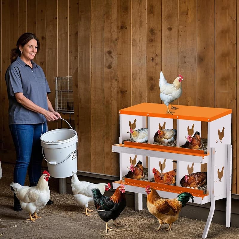 6 Compartment Metal Chicken Nesting Box, Laying Box for Hens Ducks Rabbits, Orange