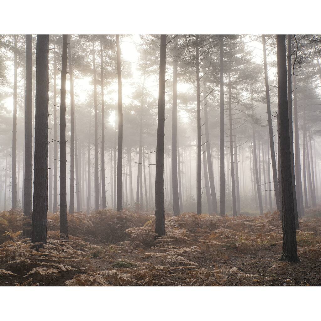 Galerie Wallcoverings Atmosphere Forest In The Mist 6-Panel Non-woven Matte Wall Mural