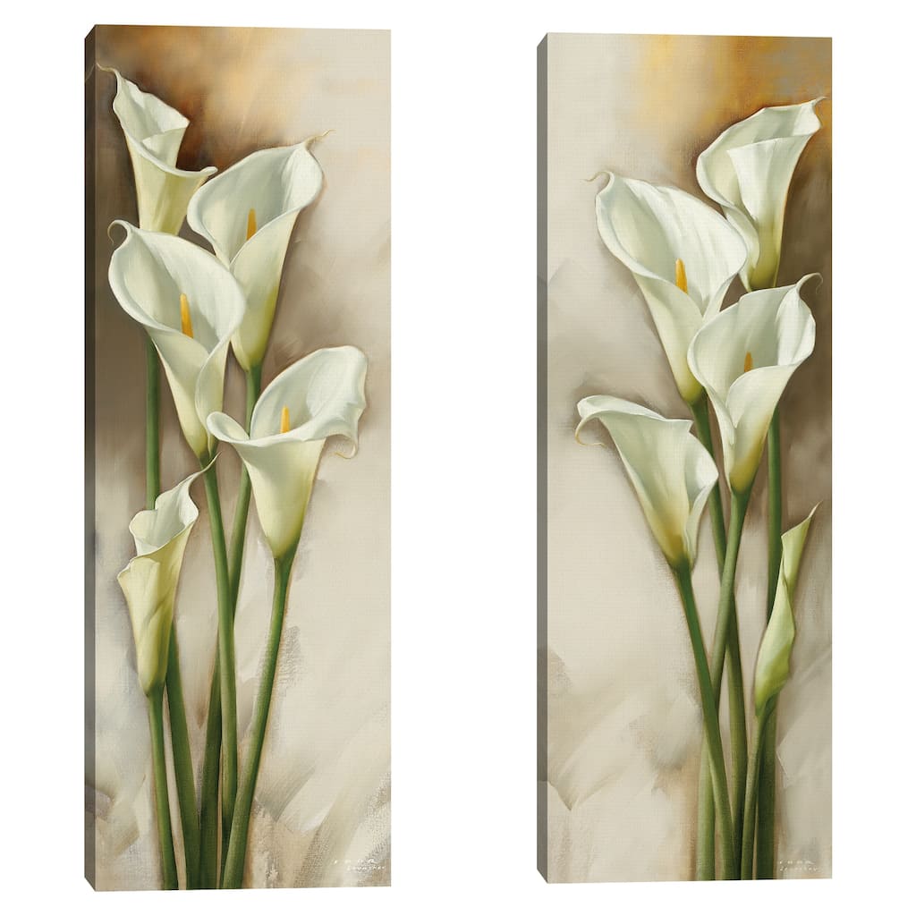 Callas Gracieux I, Callas Gracieux II by Igor Levashov Canvas Art Prints