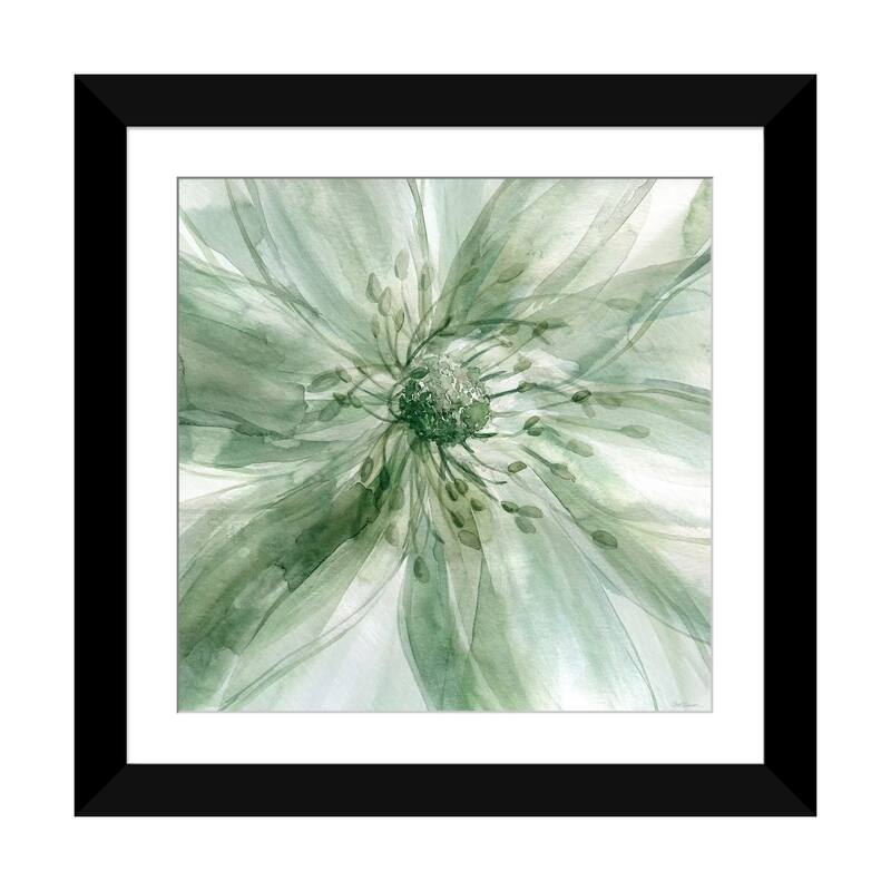 iCanvas "Macro Sage Flower I" by Carol Robinson - Black - 24x24x1