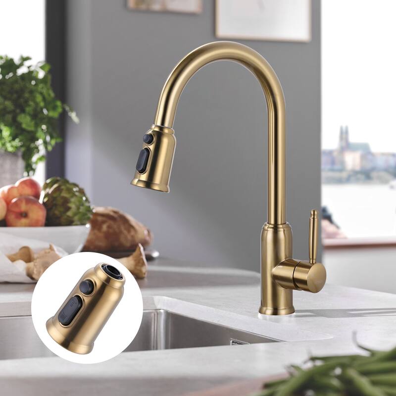 Pull Down Kitchen Faucet Head Replacement with 9 Adapter Kit