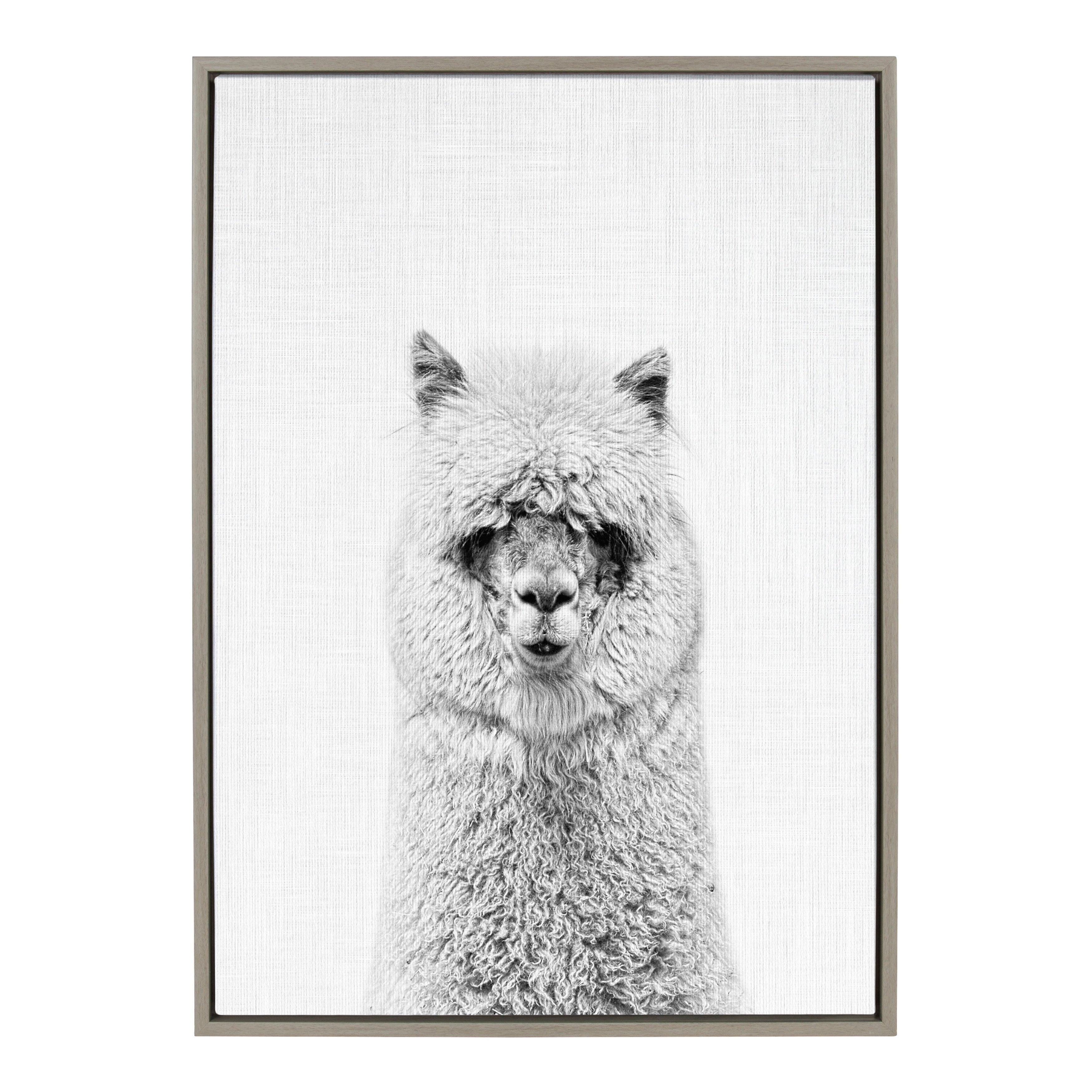 Kate and Laurel Sylvie Hairy Animal Black and White Portrait Framed Canvas  Wall Art by Simon Te Tai On Sale Bed Bath  Beyond 14720104