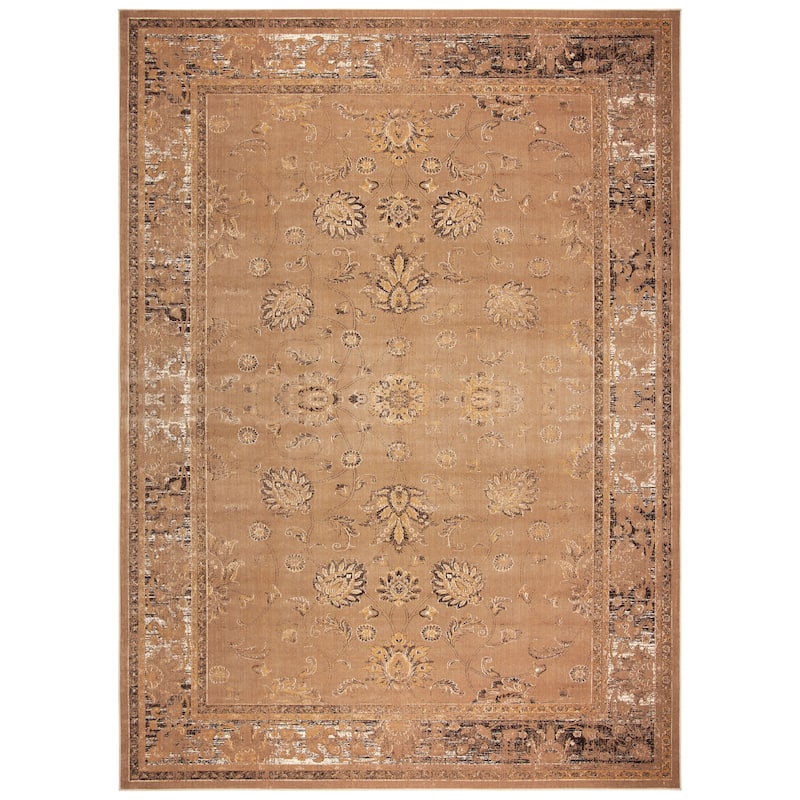 SAFAVIEH Helve Vintage Distressed Boho Oriental Area Rug