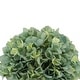preview thumbnail 3 of 21, Faux Hydrangea in Small Black Cube Ceramic Vase