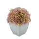 Option Lilac