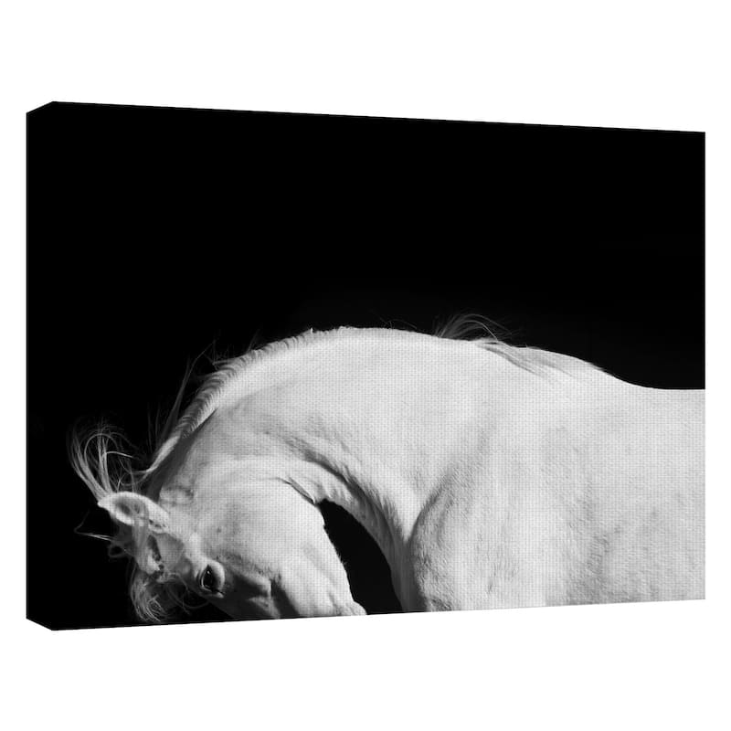 White Beauty by Belle Maison Canvas Art Print