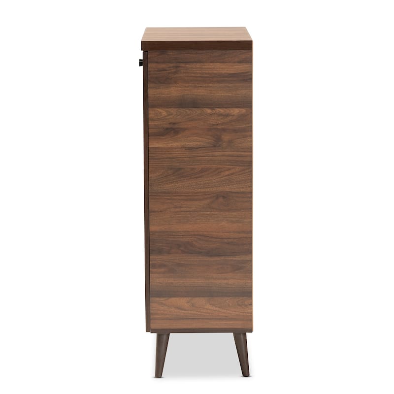 Salma Modern and Contemporary 2-Door Shoe Storage Wood Cabinet