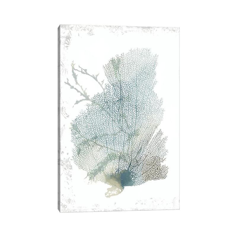 iCanvas "Teal Delicate Coral II " by Aimee Wilson Canvas Print