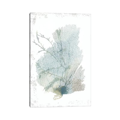 iCanvas "Teal Delicate Coral II " by Aimee Wilson Canvas Print