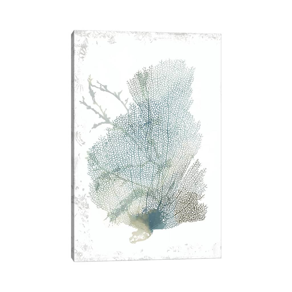 iCanvas "Teal Delicate Coral II " by Aimee Wilson Canvas Print
