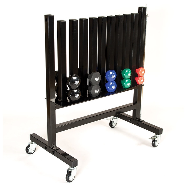 Sports direct on sale dumbbell rack