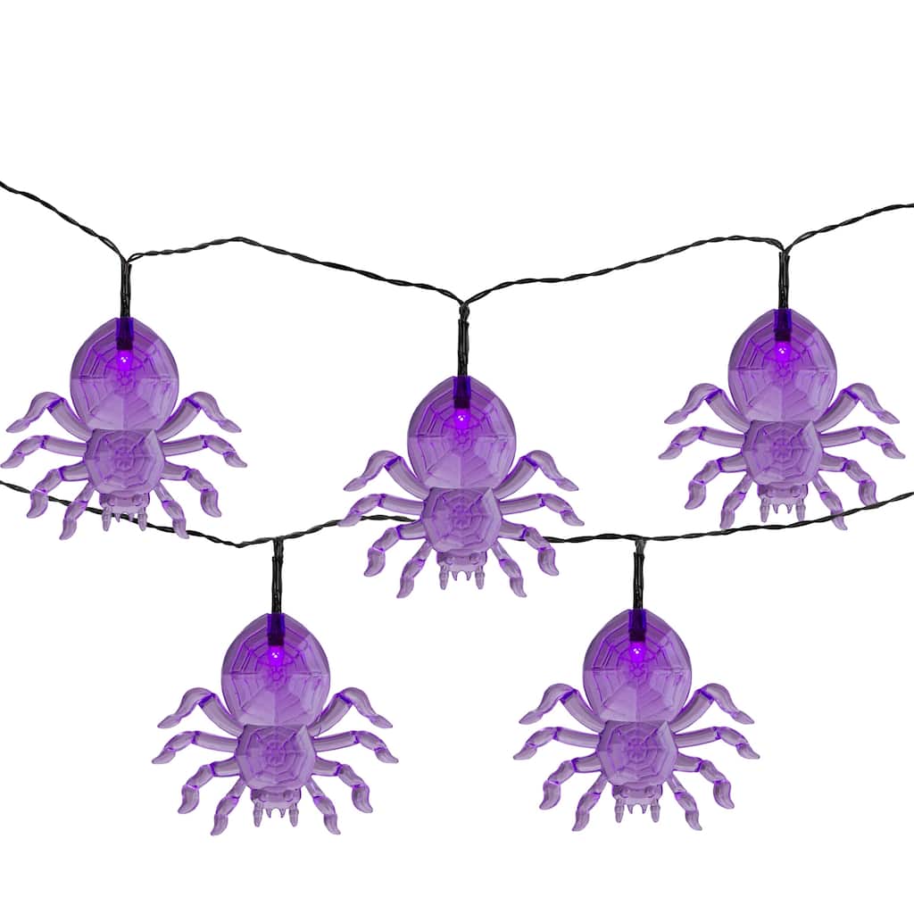 10-Count Pre-Lit LED Purple Spider Halloween Lights 6ft Black Wire