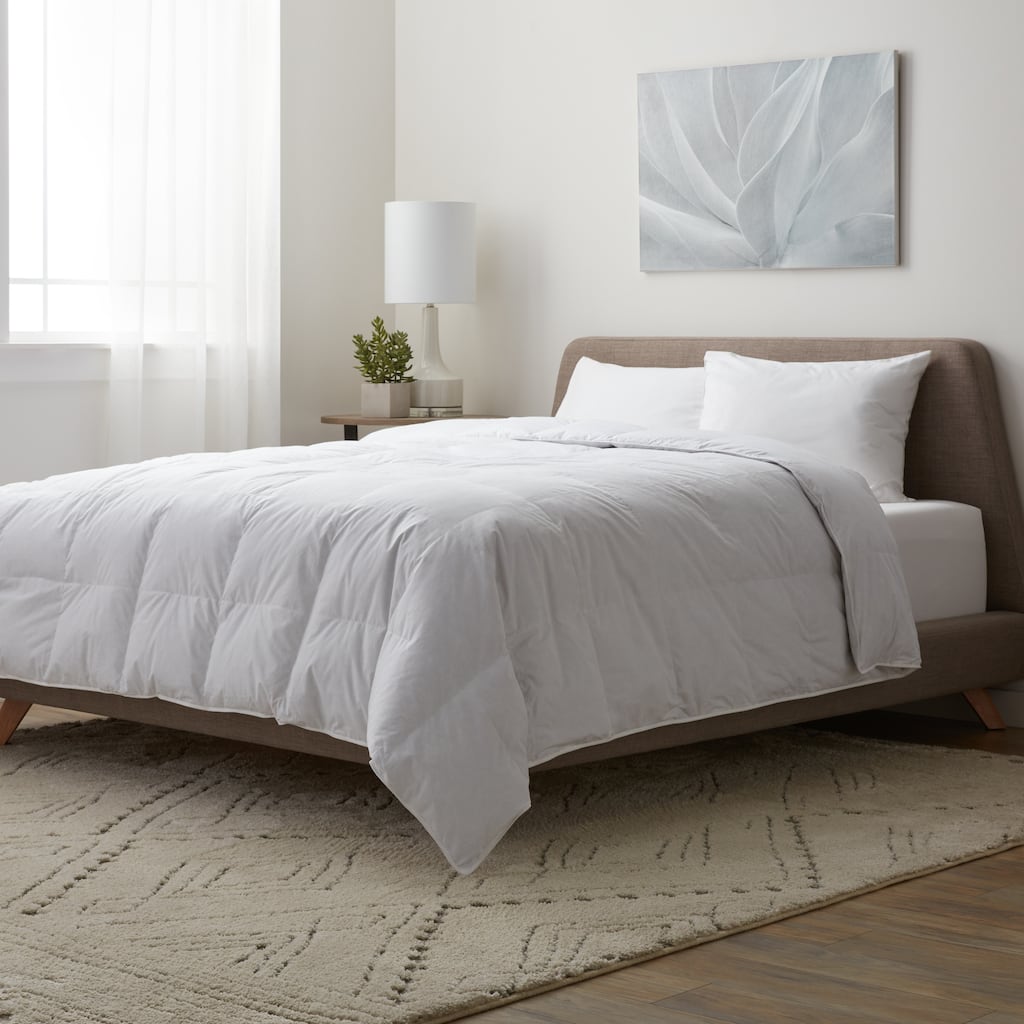 Cotton 250 Thread Count All Season Warm Down Blend Comforter