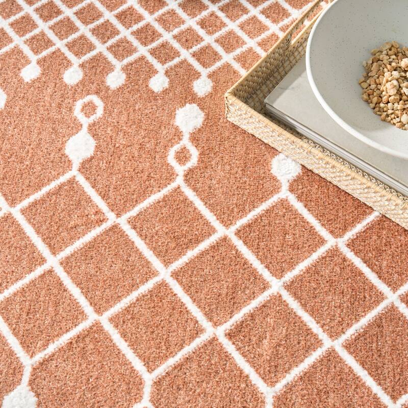 Nourison Astra Machine Washable Moroccan Area Rug