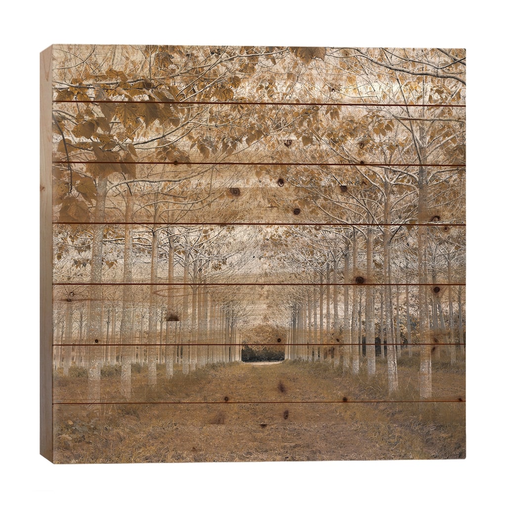 White Gold Print On Wood by Assaf Frank - Multi-Color