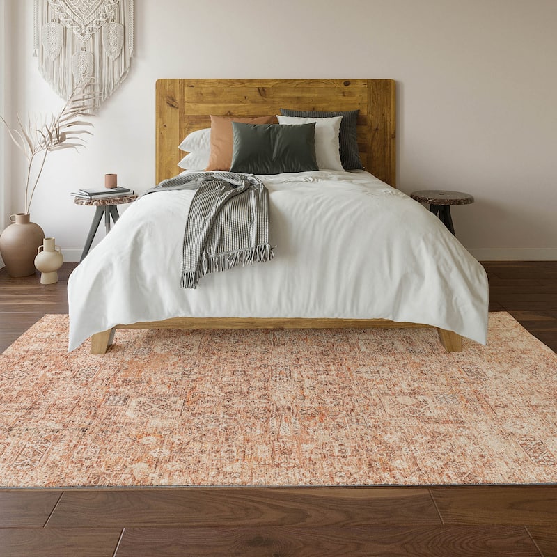 Premium Washable Super Soft Vintage Traditional Mayfield Rug