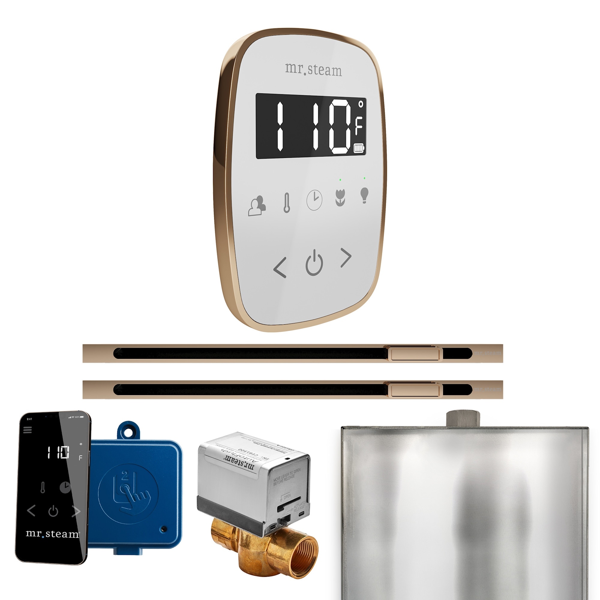 Mr Steam BFXL Butler Flex Max Linear Package Steam Shower Control