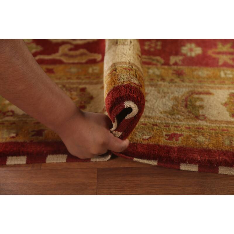 All-Over Agra Indian Area Rug Handmade Wool Carpet - 6'0"x 9'2"