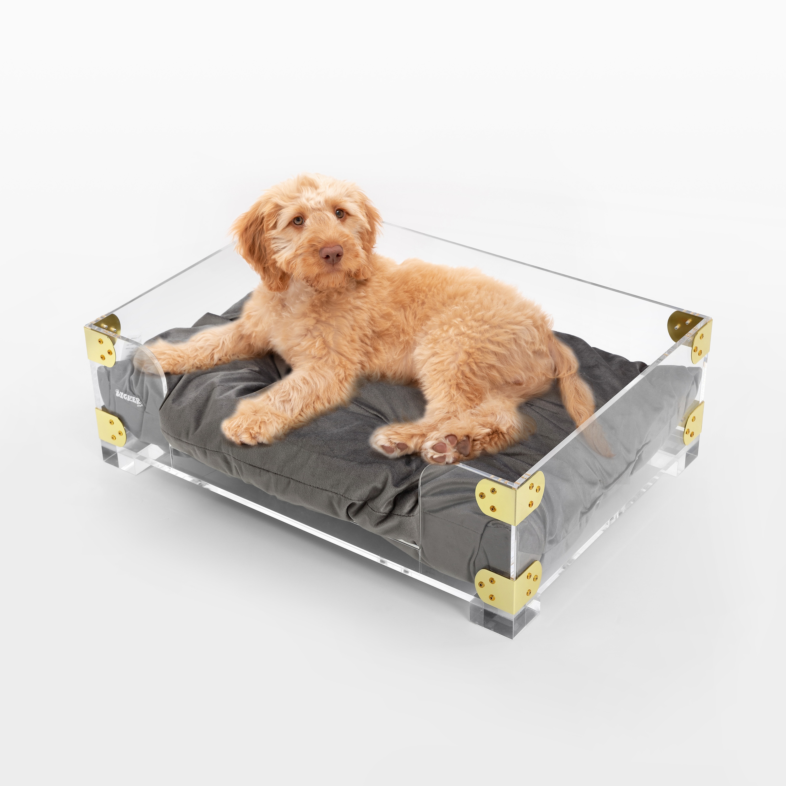 Lucite dog bed store