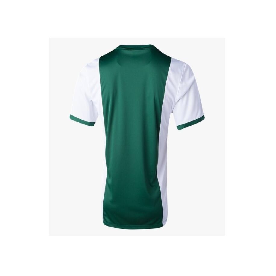 green and white nike shirt