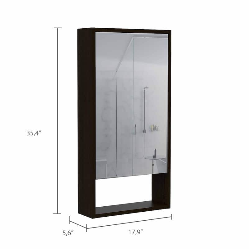 Burlington Rectangle Medicine Cabinet with Mirror