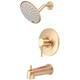 Option PVD Brushed Gold