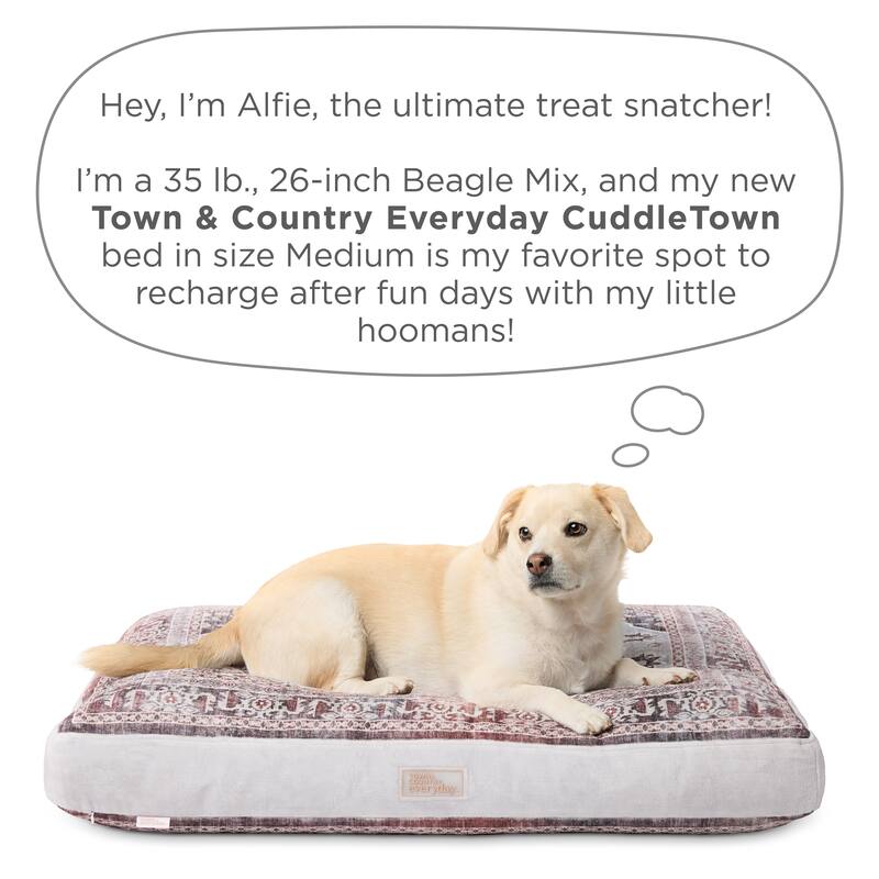 TOWN & COUNTRY EVERYDAY CuddleTown Medallion Pillow Crate Mat Pet Bed