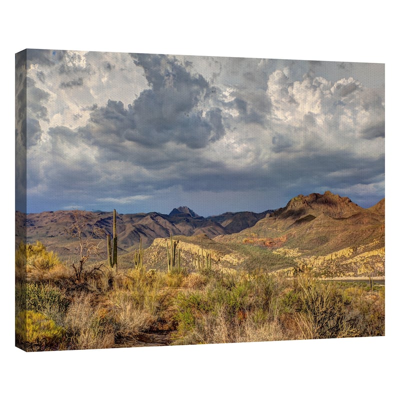 Stormy Dessert by Robert Murray Canvas Art Print