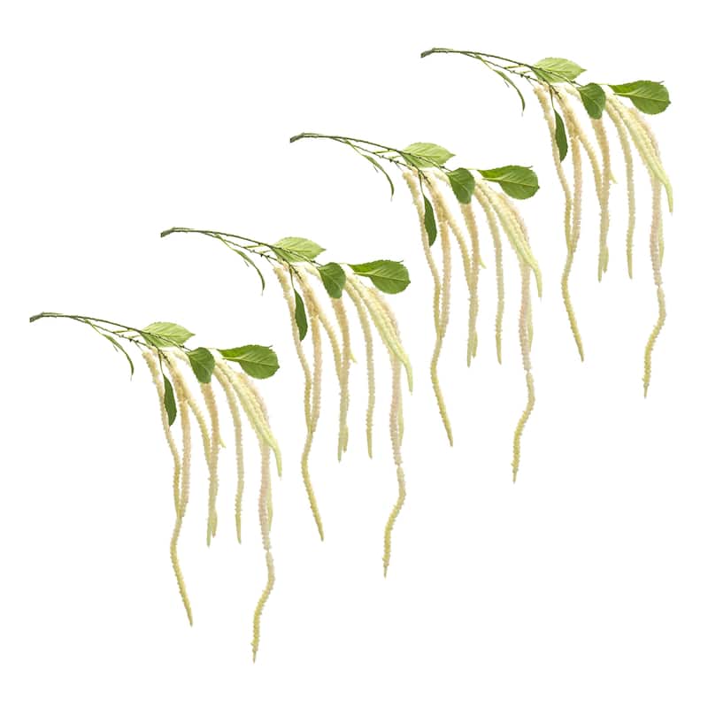Amaranthus Floral Stem (Set of 4)