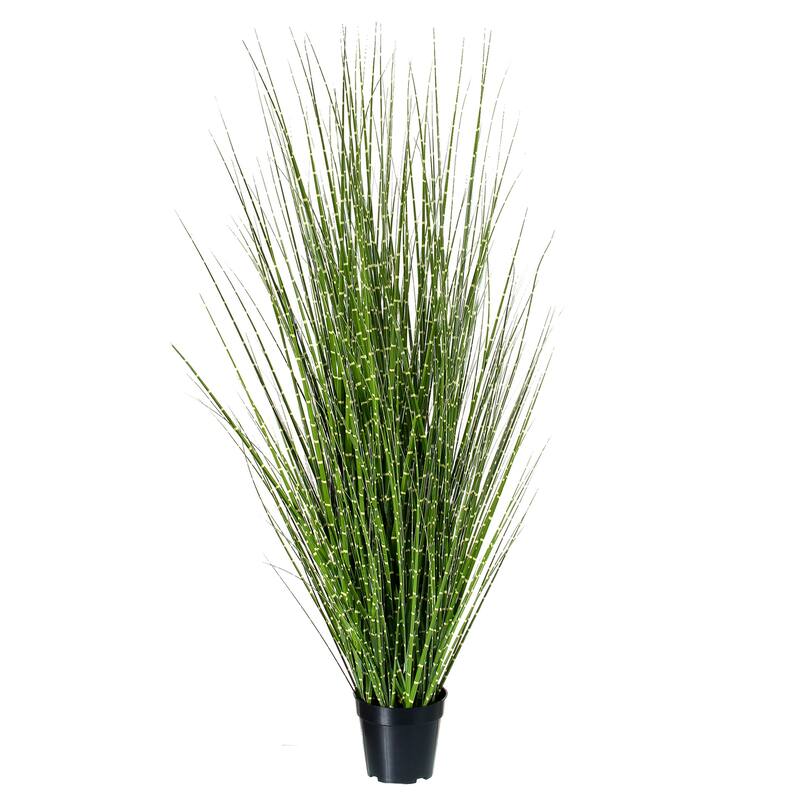 Potted PVC Fountain Zebra Grass 28" - 36"