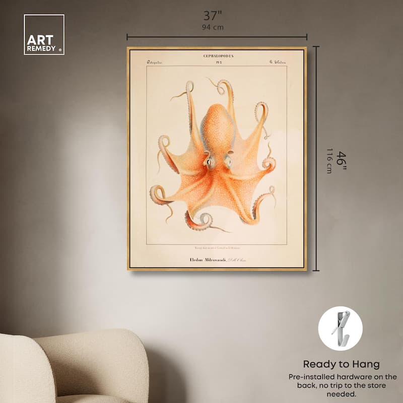 Verany The Octopus 1815 II Canvas by Art Remedy