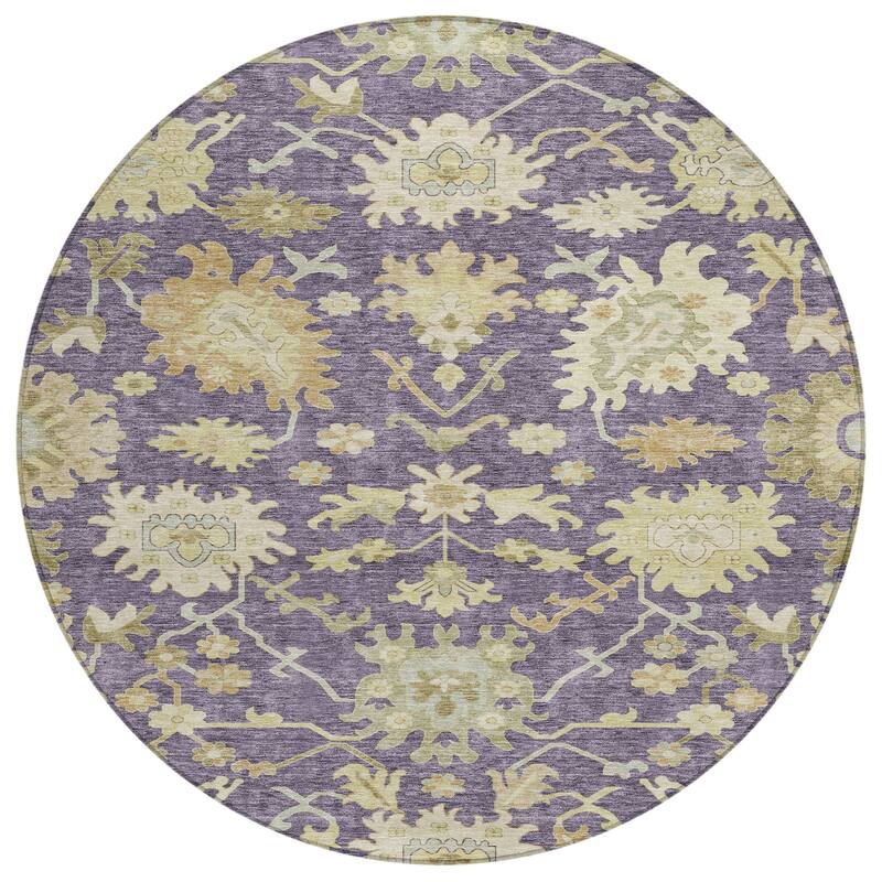 Machine Washable Indoor/ Outdoor Traditional Casual Chantille Rug