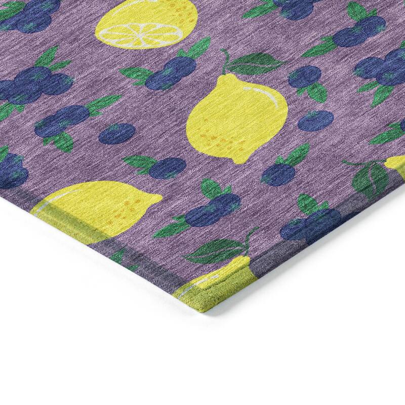 Machine Washable Indoor/ Outdoor Citrus Berry Chantille Rug
