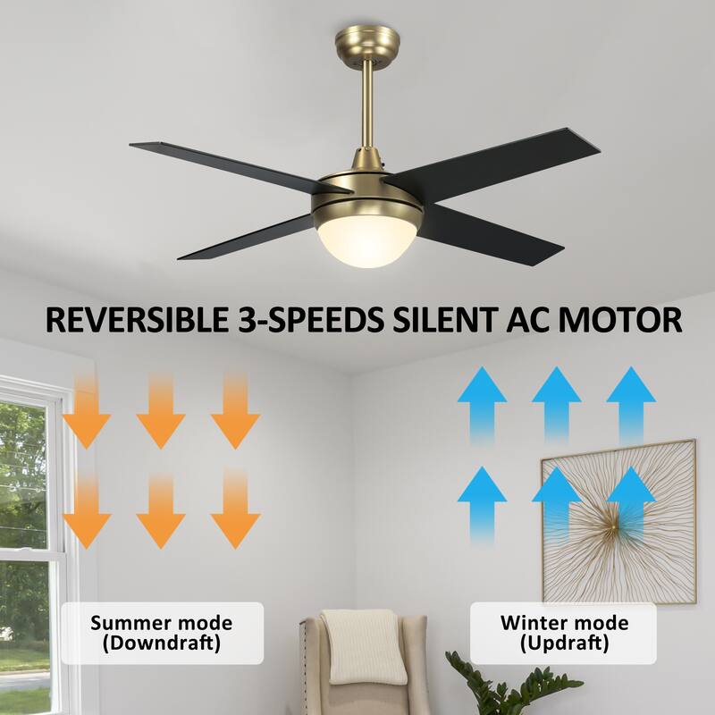 CARRO Norfolk 48" Indoor Smart Ceiling Fan with LED Light and Wall Control