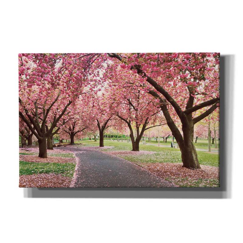 Epic Graffiti 'Cherry Parade' by Katherine Gendreau, Canvas Wall Art - 26x18