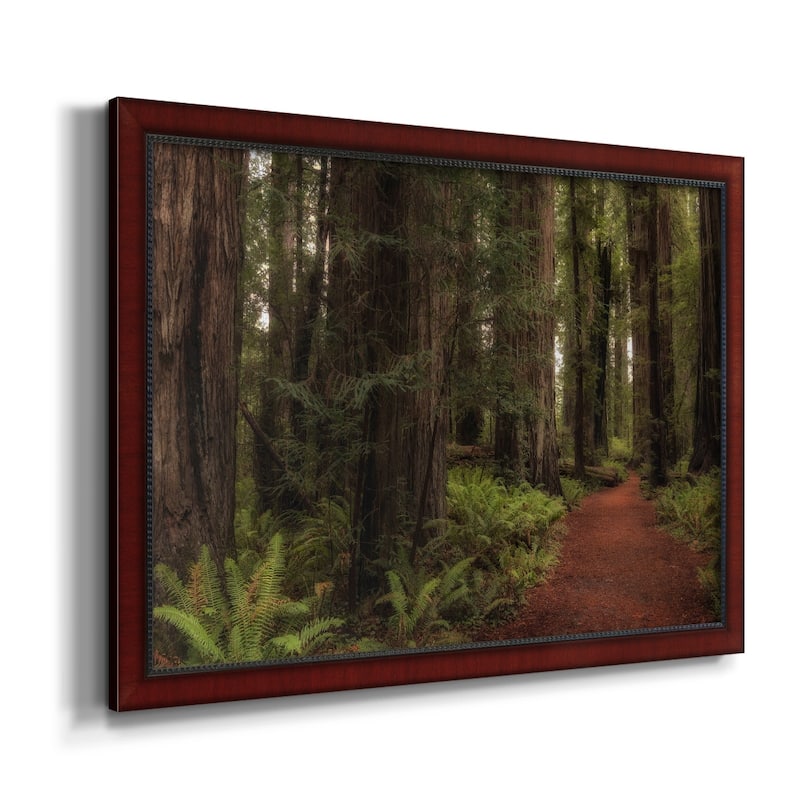 A Walk in the Woods I Premium Framed Canvas- Ready to Hang