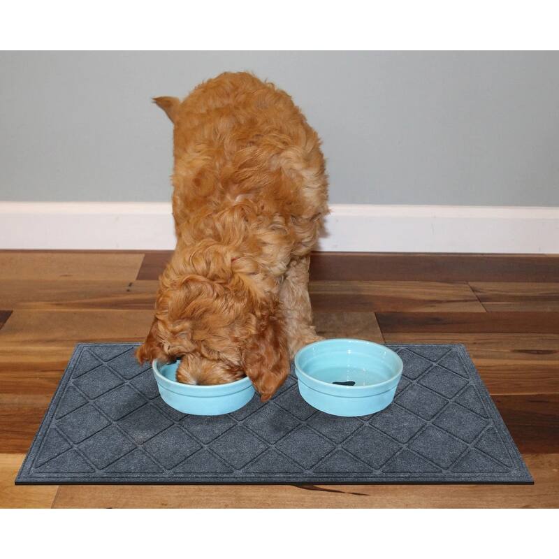 A1HC Water retainer Indoor/Outdoor Doormat, 24" x 36"